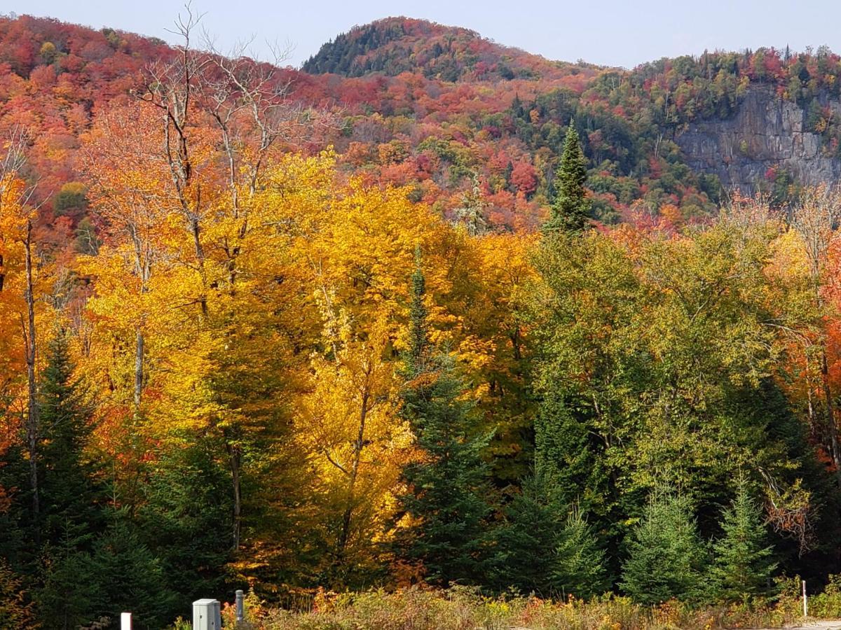 Lac-Superieur Chalet F116 Mont-Tremblant Nord מראה חיצוני תמונה