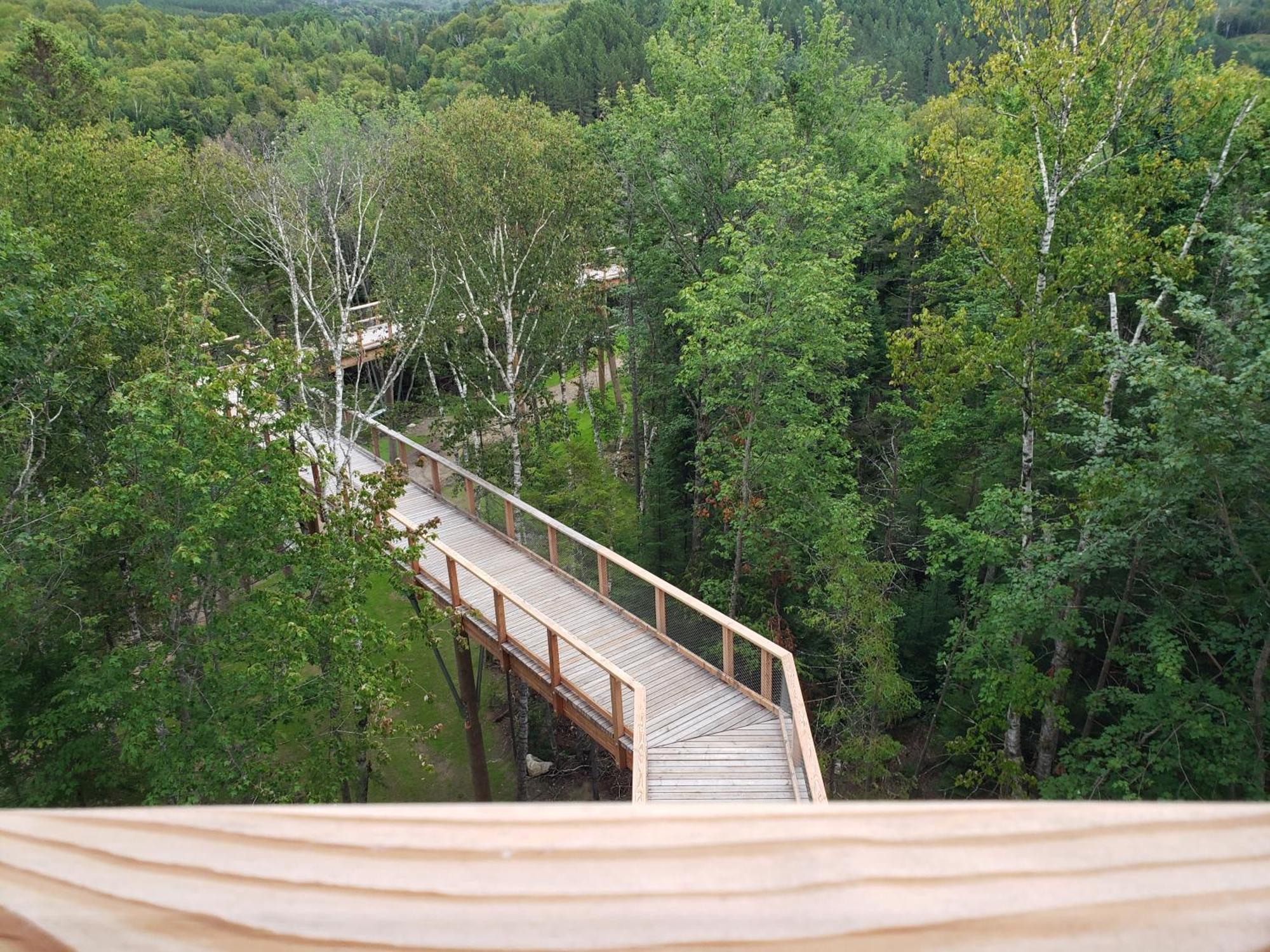 Lac-Superieur Chalet F116 Mont-Tremblant Nord מראה חיצוני תמונה