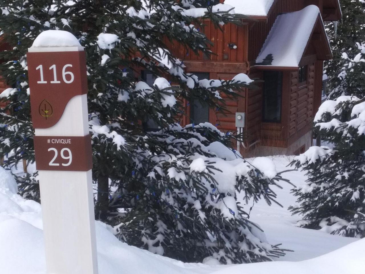 Lac-Superieur Chalet F116 Mont-Tremblant Nord מראה חיצוני תמונה