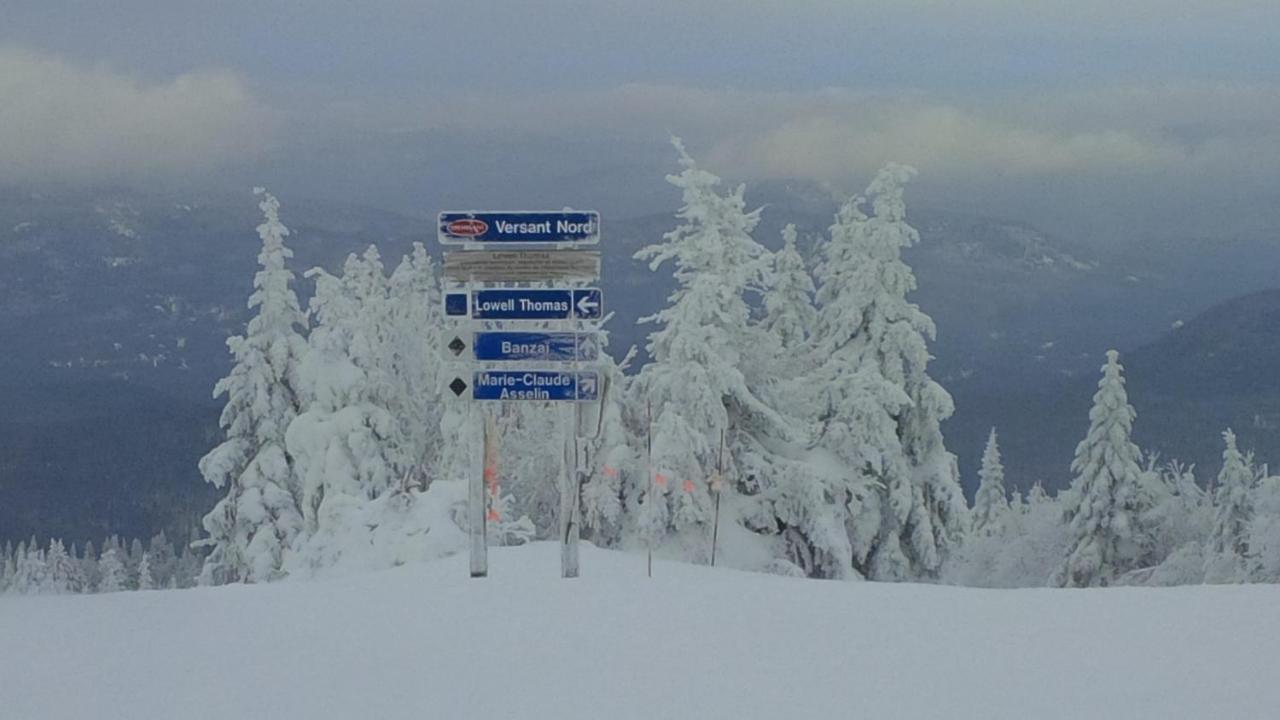 Lac-Superieur Chalet F116 Mont-Tremblant Nord מראה חיצוני תמונה